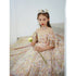 Joy And Sparkle Dress Little Palace Store